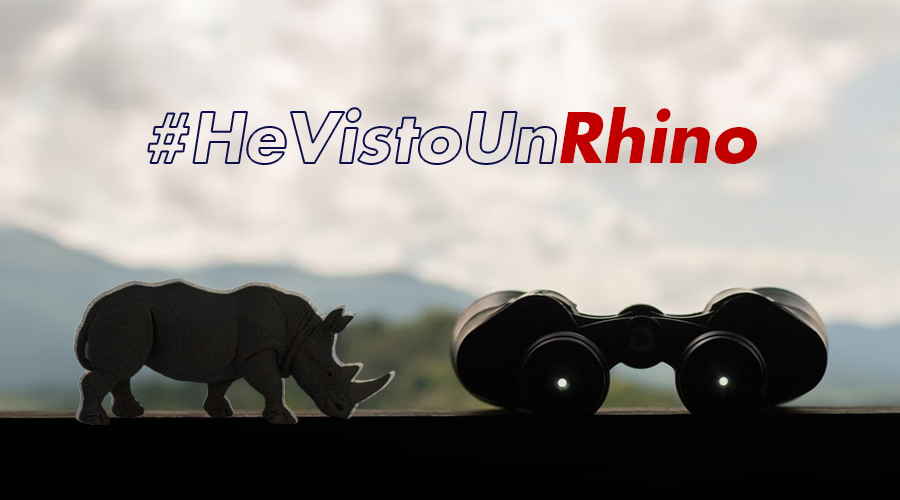 ¿Alguna vez has visto un Rhino? 
